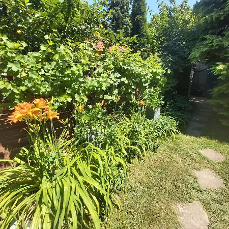 Relax Bungalow Terrace, 2 Db Teraszos Fahaz Siófok
